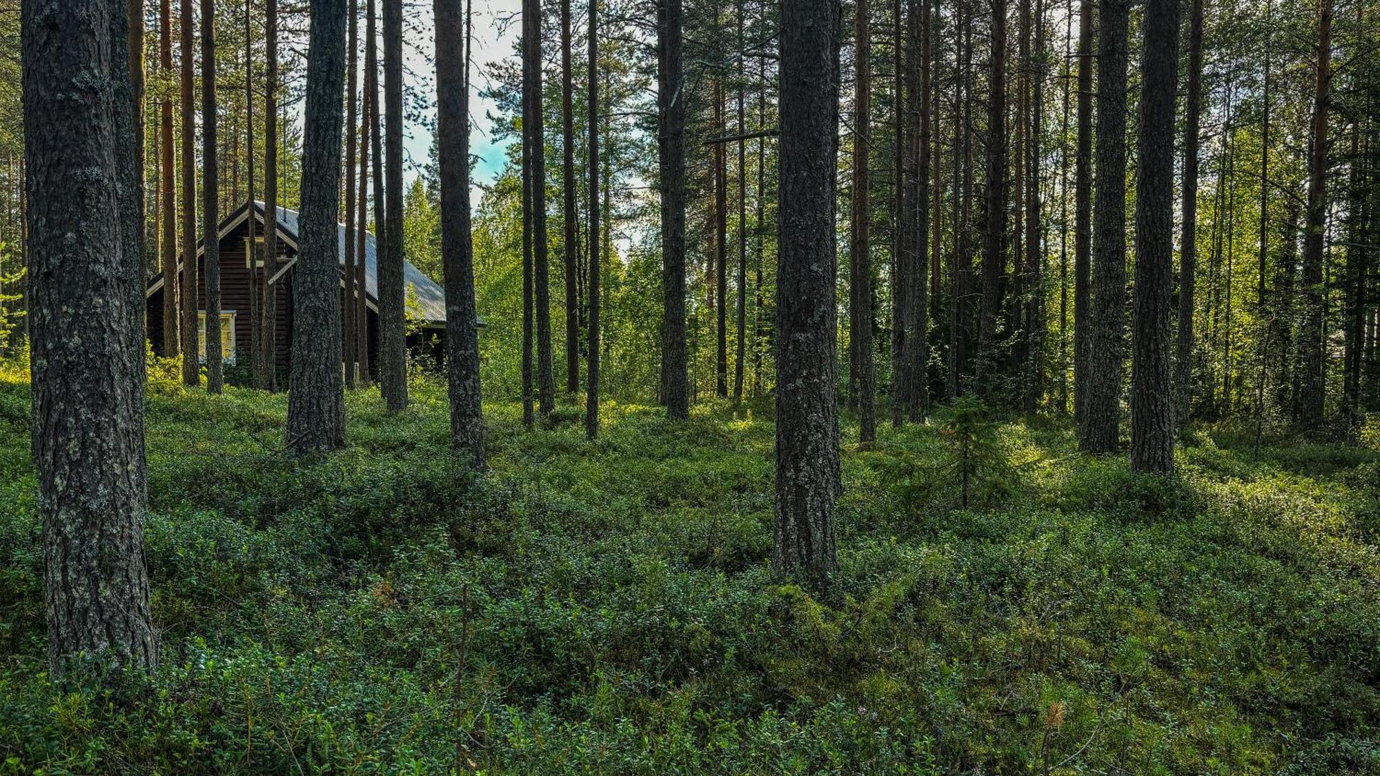 Sky Lodging ~ Sleeping Under The Stars โรวานิเอมิ ภายนอก รูปภาพ