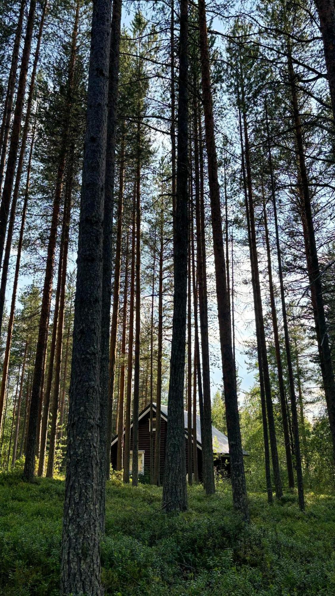 Sky Lodging ~ Sleeping Under The Stars โรวานิเอมิ ภายนอก รูปภาพ