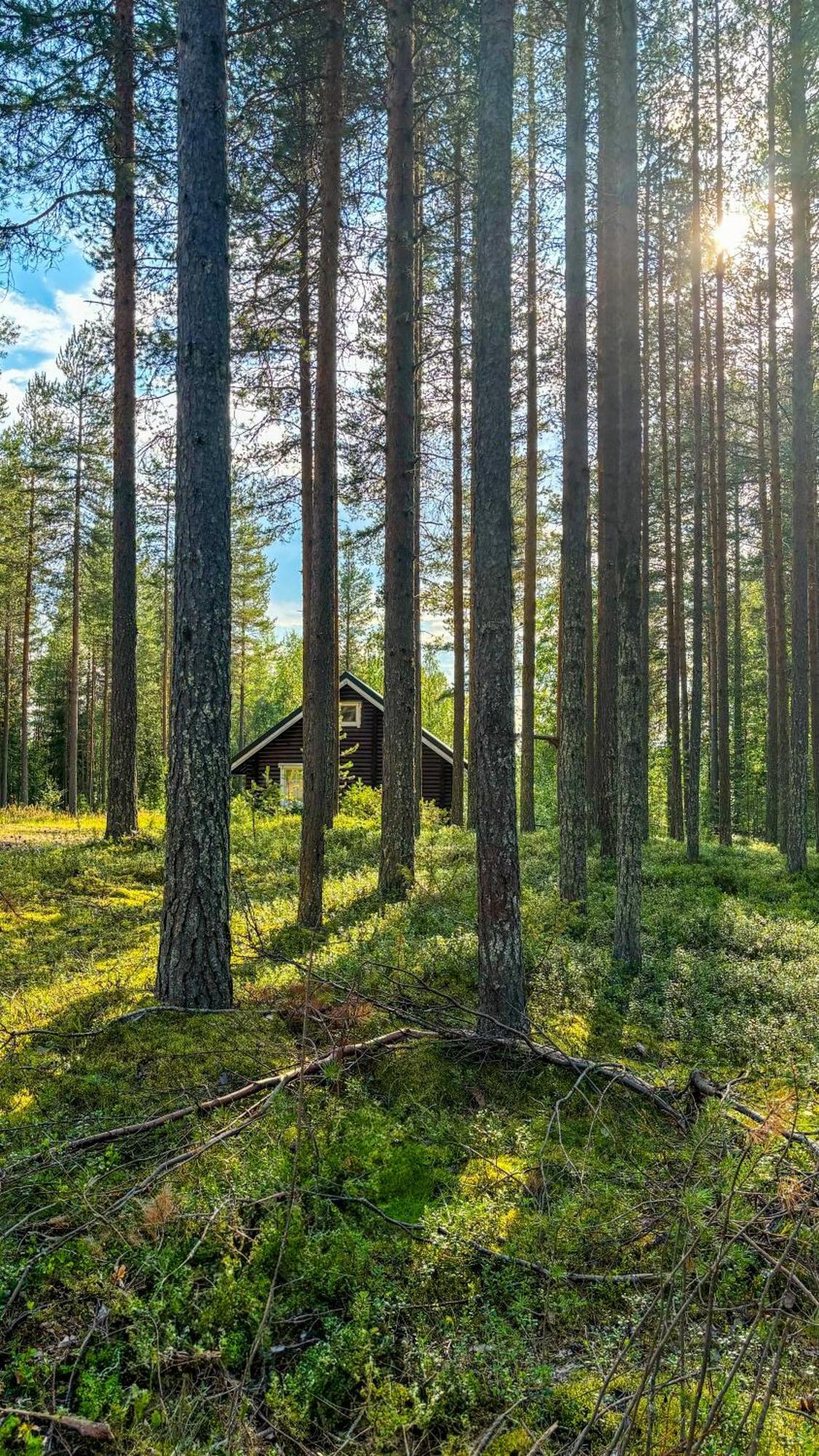 Sky Lodging ~ Sleeping Under The Stars โรวานิเอมิ ภายนอก รูปภาพ